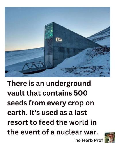 Seed Vault 1