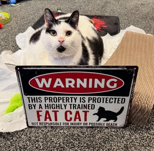 FB_IMG_1743805765150