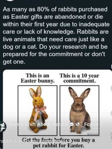 90E48FA2-C491-49F2-B8ED-886B4220B1C7