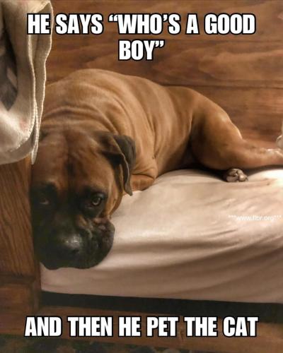 FB_IMG_1744358689272