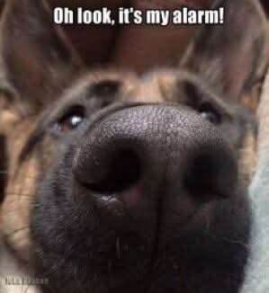 FB_IMG_1745944820686