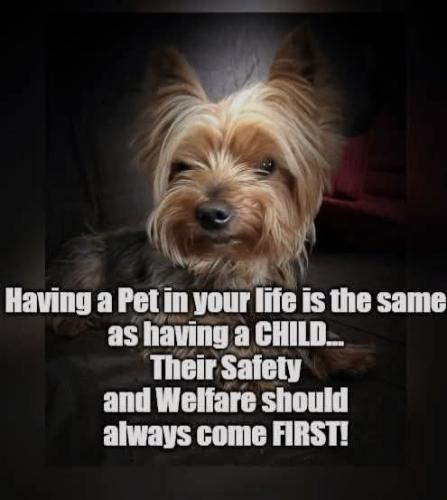 FB_IMG_1745682351327