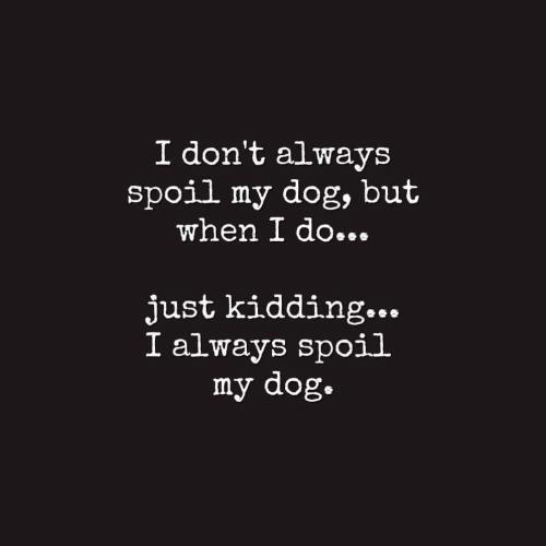 FB_IMG_1744641541181