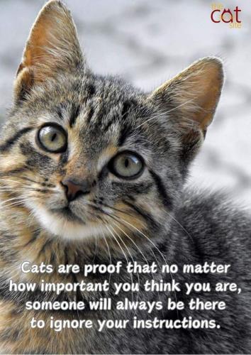 effe5d593036ace4be1e7f249aa8ad59