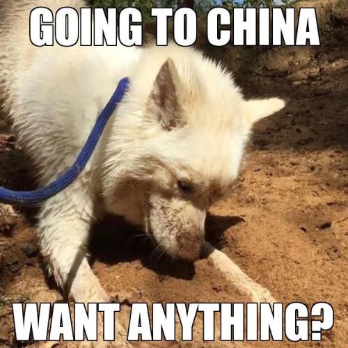 FB_IMG_1745704625674