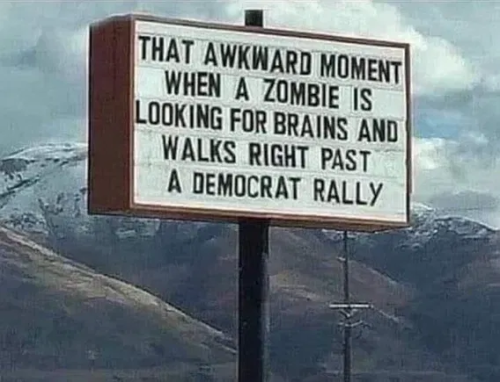 image_2025-04-14_063628693