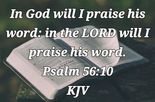 7b9eb0ce-0296-466e-91a9-6f6e703870f3