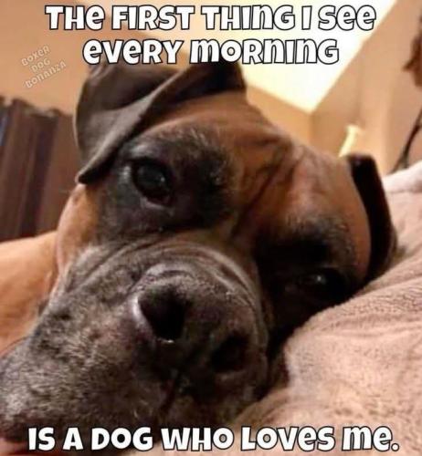 FB_IMG_1743421392748