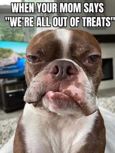 FB_IMG_1745442432567