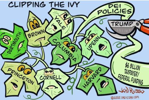 43da819a-5fe1-4040-bdc0-797fc118a3c8_1140x768