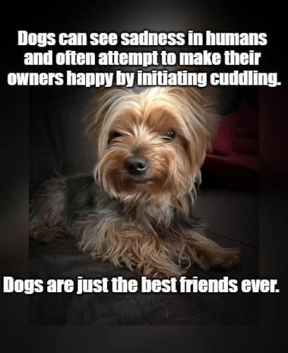 FB_IMG_1745015587492