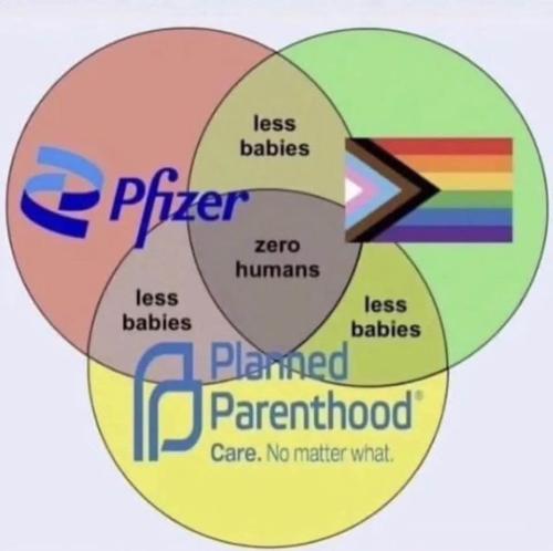 FB_IMG_1746037379106