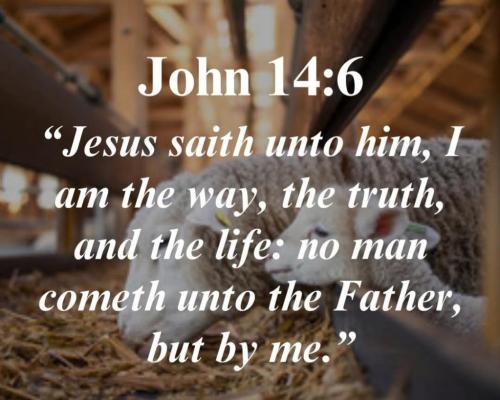 7bc45a87-2217-4a4f-bb3f-a51307b8e691