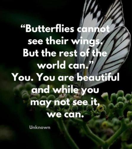 IMG_20250407_124424_299