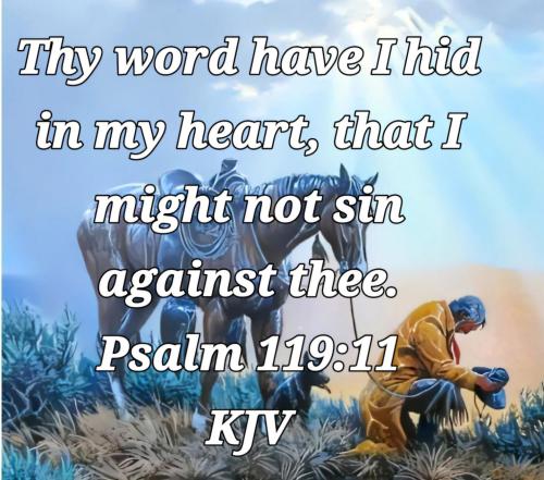 349ab10c-073c-4956-ac02-4caa33ef312d