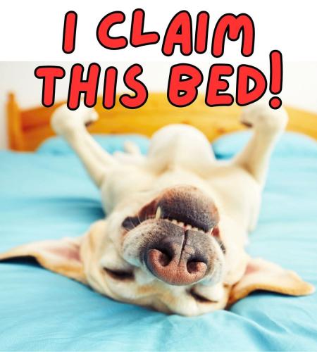 FB_IMG_1744646588734