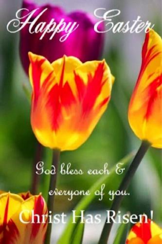 b63c3ad15875d1b0927be9dd36a5ef90