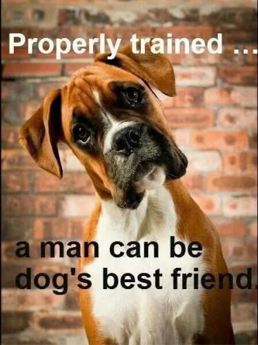 FB_IMG_1743877829055