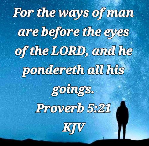 3e45e831-027a-4b19-ba4a-db89759f9280