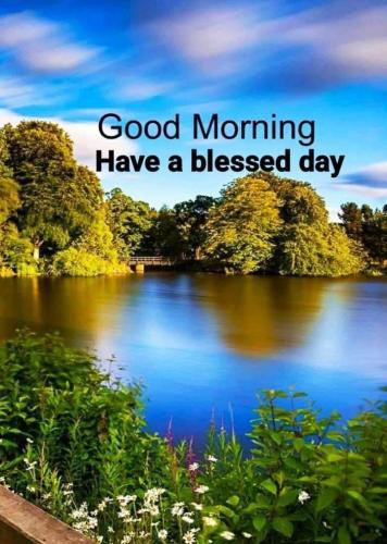 good-morning-spring 7