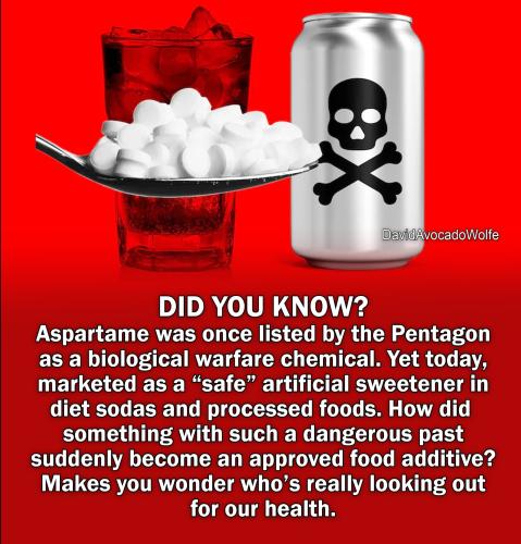 486574447_1228475375300773_4059291680508954148_n