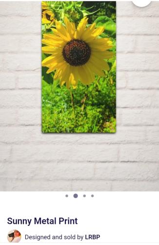 Screenshot_20250409_181925_Brave