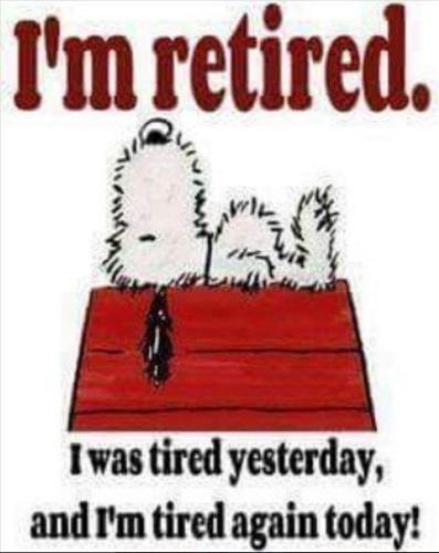 6bae677aae5e212613440f0a73f23b0b