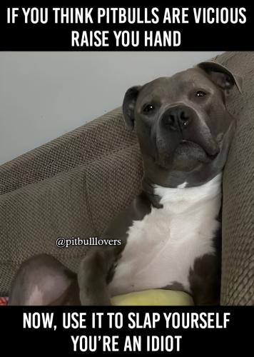 FB_IMG_1743948631355