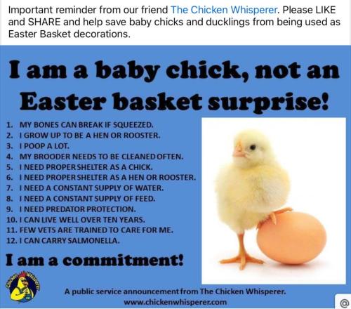 EBA1D897-F30D-4833-BE4E-620BEBE75E32