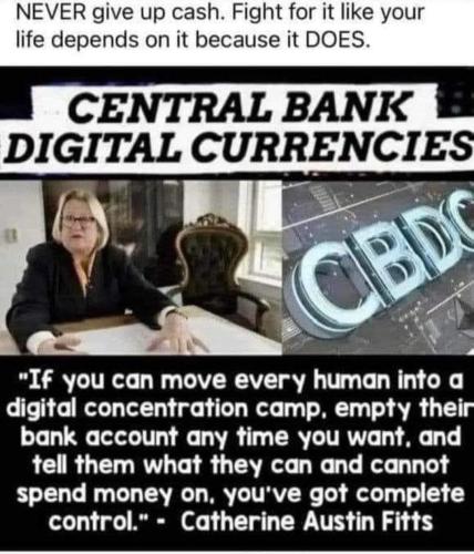 FB_IMG_1740540381141