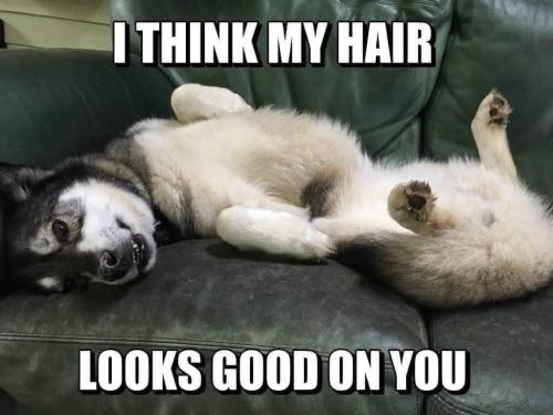 FB_IMG_1745066539184