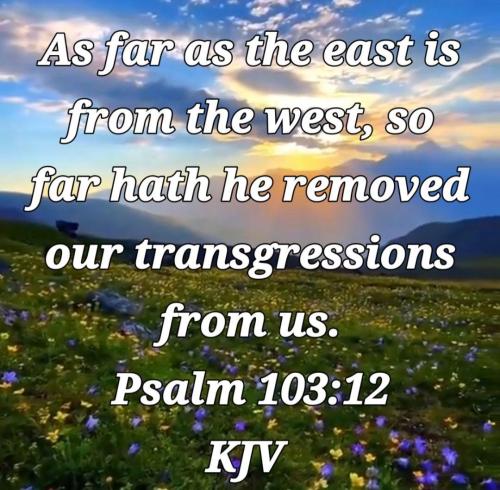 0cf2c5c6-76b2-4b37-af40-aa52cb916863