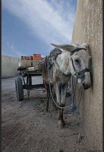 FB_IMG_1555551446983