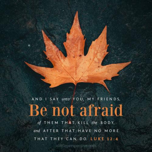 luk-12-4-KJV-unsplash