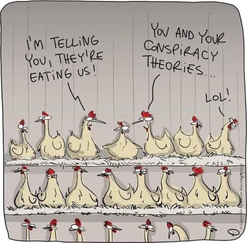 FB_IMG_1743774876218