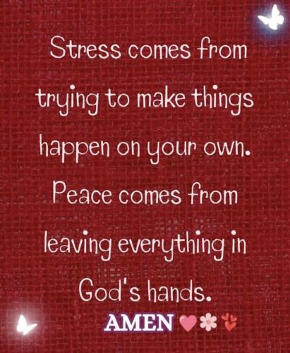 73ab046e-f667-4f2c-8c21-605557898c78