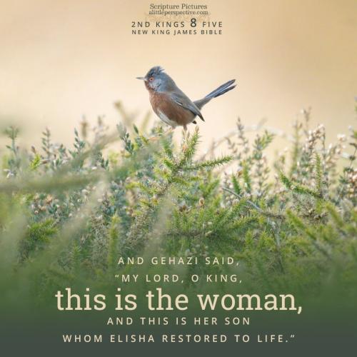 2-kin-8-5-NKJV-unsplash