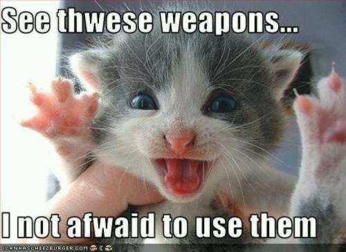 3e035b95c369aa3eec4aa1afcf961639