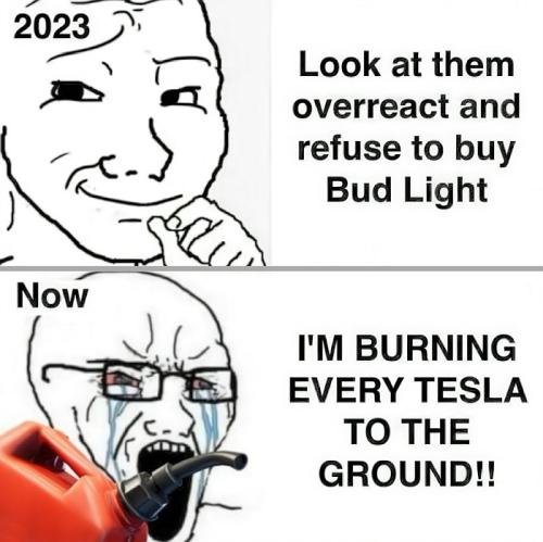 Burning Teslas