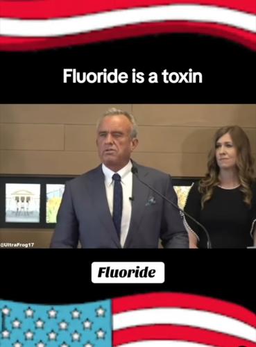 19507EDE-5D61-419B-9EE9-60066D893BDD