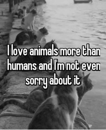 e63df7c8139782a725a7d4ef566a9ea2