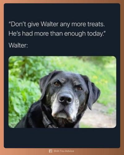 FB_IMG_1744292580623