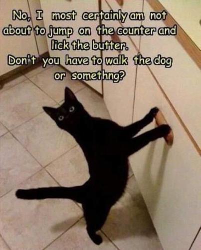 66858b24d8ab2a0afe18cbb11b68c678