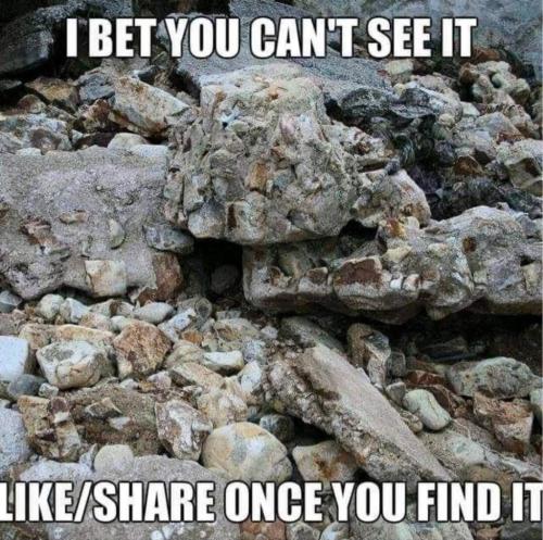 c99ac183-66b1-4f2a-8c20-3074c42a0ace