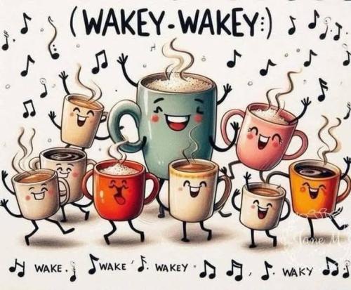 487091172_122223468452223156_1077625525623199763_n