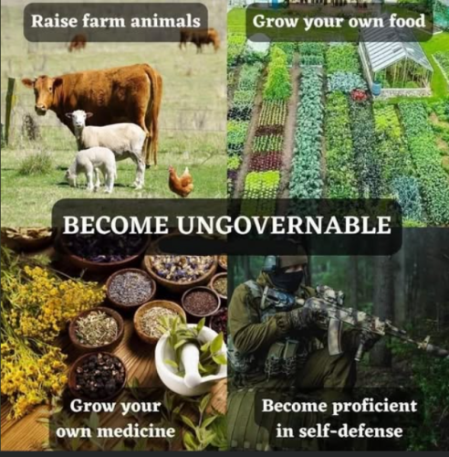 Screenshot 2025-04-12 142549