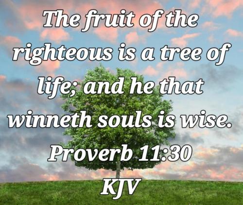 960f65cc-4e10-47b0-a2f9-3214b98ca90f