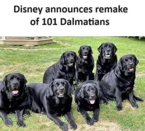 0d3496b99aaec255720b7ec909970c85