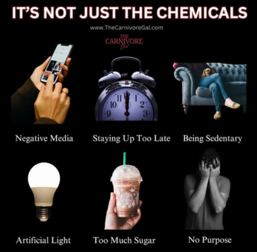 Screenshot 2025-04-11 151135