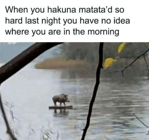 1f057548-95a1-45a0-881a-7d7c8262cbc9